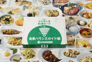 そのまんま料理カード食事バランスガイド編ケースカバー